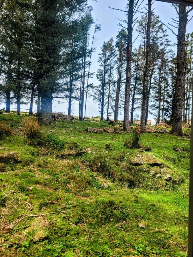 Wheal Tor Hotel & Glamping Лискерд Экстерьер фото